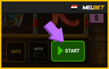 الضغط على زر الدوران لبدء جولة Book of Ra Deluxe